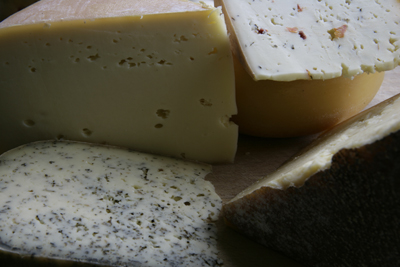 Cheese Picture