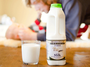 Milk Picture